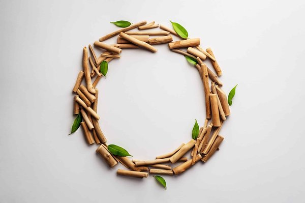 Quels sont les enjeux de la conservation des films anciens ?