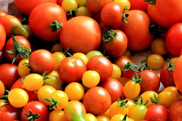 Les meilleures variétés naines pour vos tomates au balcon